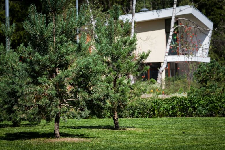 Boutique Hotel Rodniki