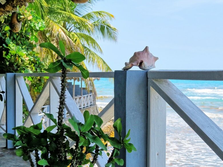 Bed & Breakfast Coterelle Breeze
