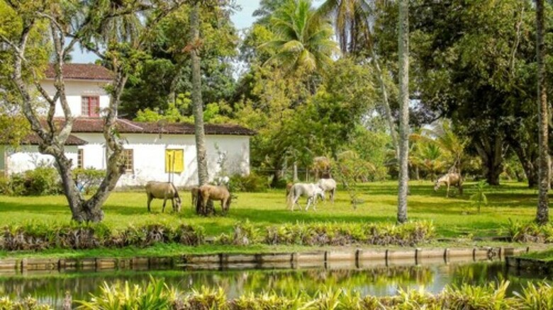 Hotel Fazenda Recanto