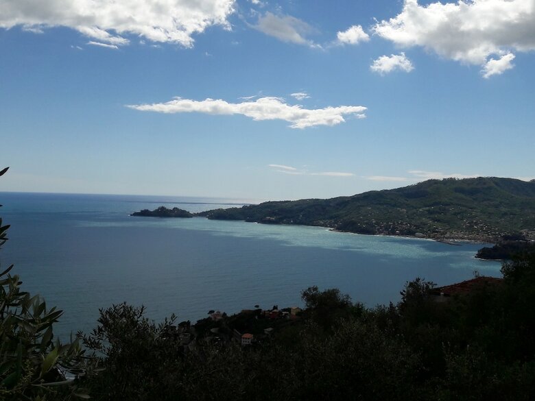 Apartamento Ulivi Mare Portofino