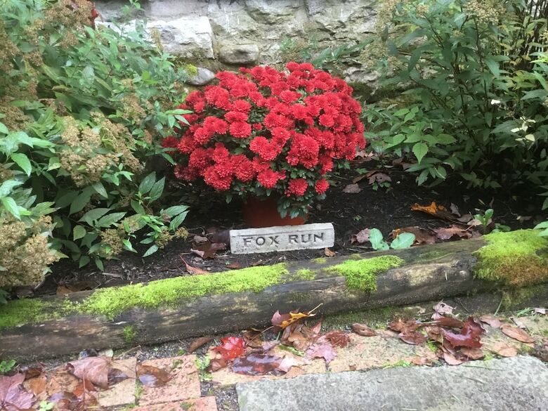 Red Fox Run B&B