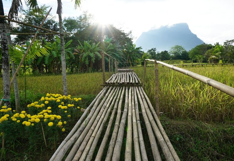 Hotel Ban Suan Tawan Chiang Dao