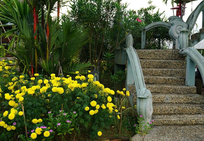 Hotel Ban Suan Tawan Chiang Dao