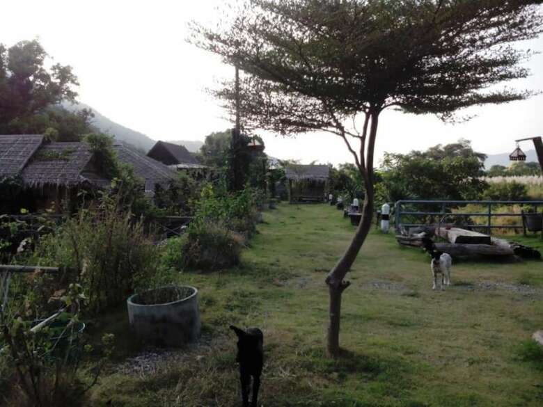 Hotel My Rose Valley Resort