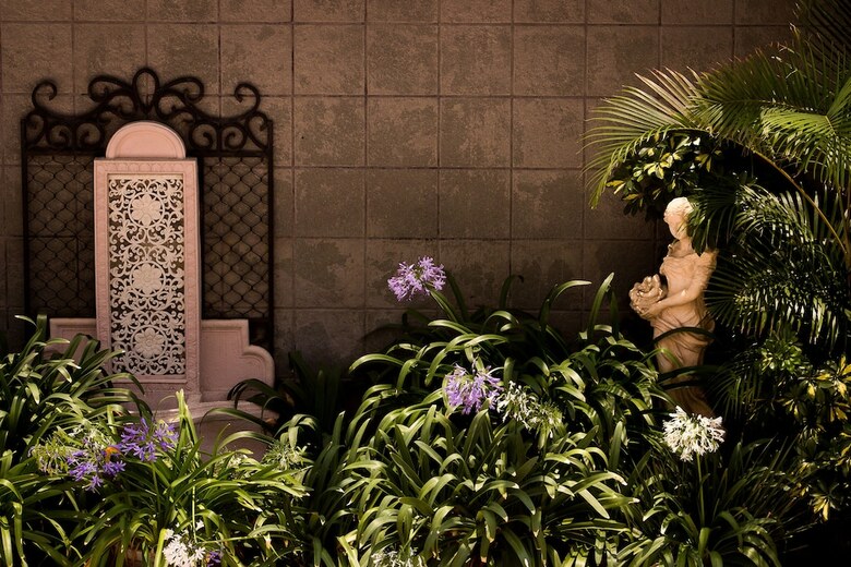 Hotel & Suites Aliana