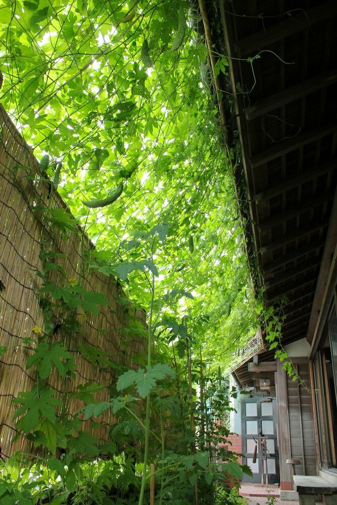 Hostal Guest House Kamejikan - Hostel