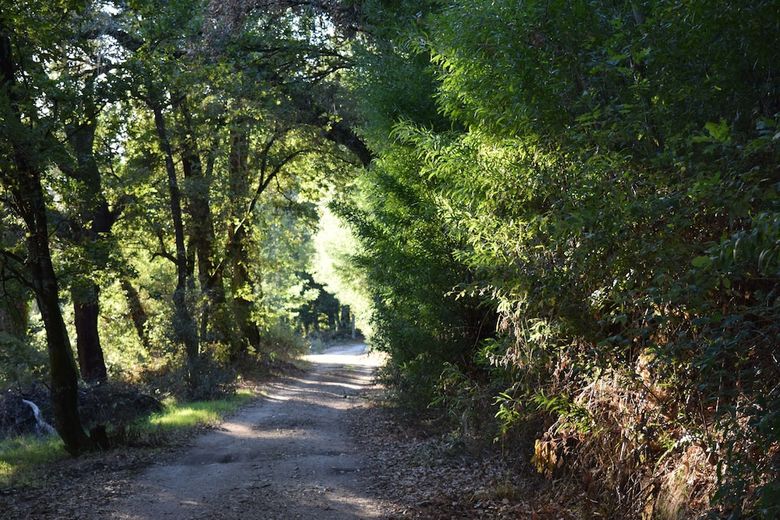 Bed & Breakfast Casa Do Cabe�o