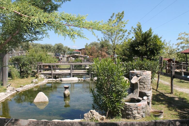 Agroturismo Agriturismo Fassi