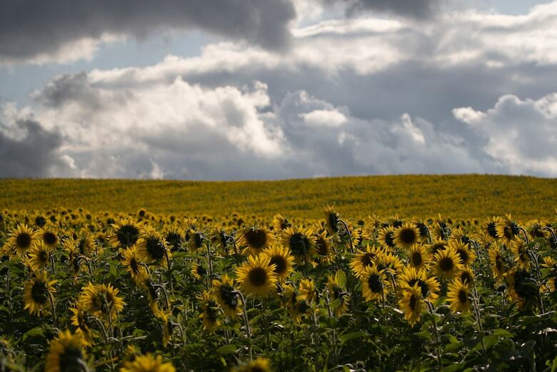 Domaine Des Gruserelles