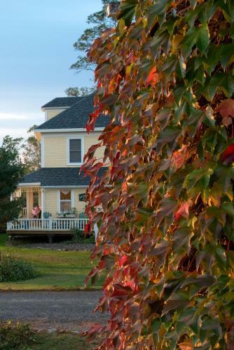 Bed & Breakfast Bayview Pines Country Inn