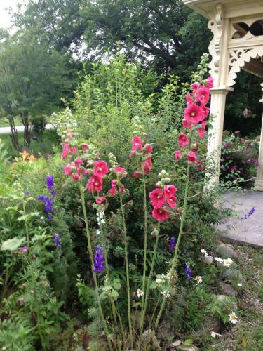 Foxingham Farm Bed & Breakfast