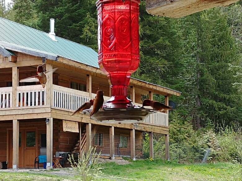 Bed & Breakfast Wolfwood Guest Ranch