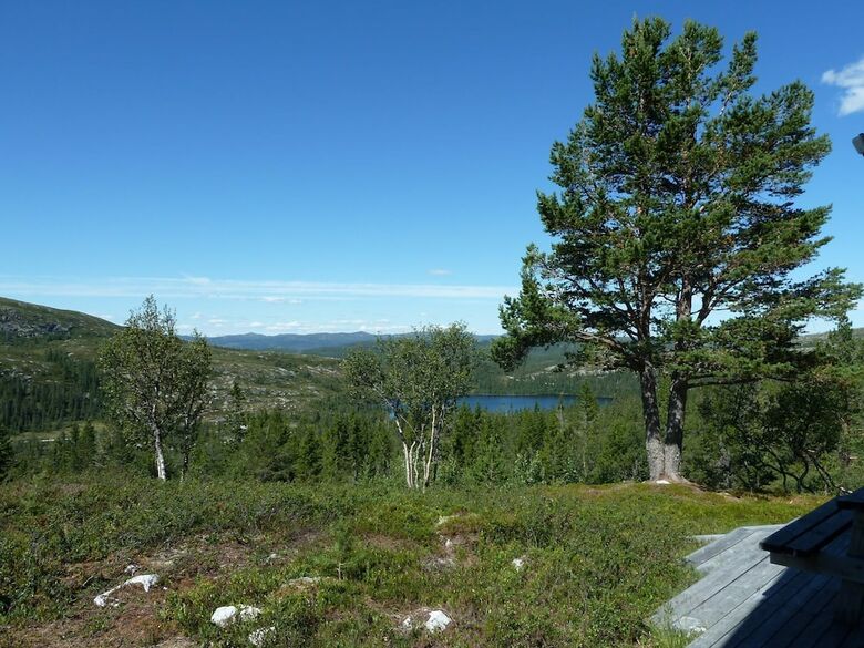 Furulie Cabin - Fl�