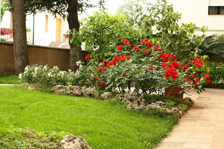 B&B Igea 50
