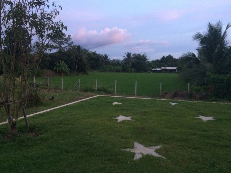 Hotel Golden Palm Resort