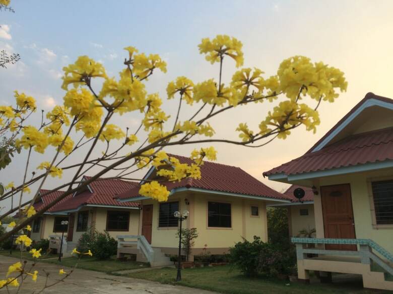 Hotel Golden Palm Resort