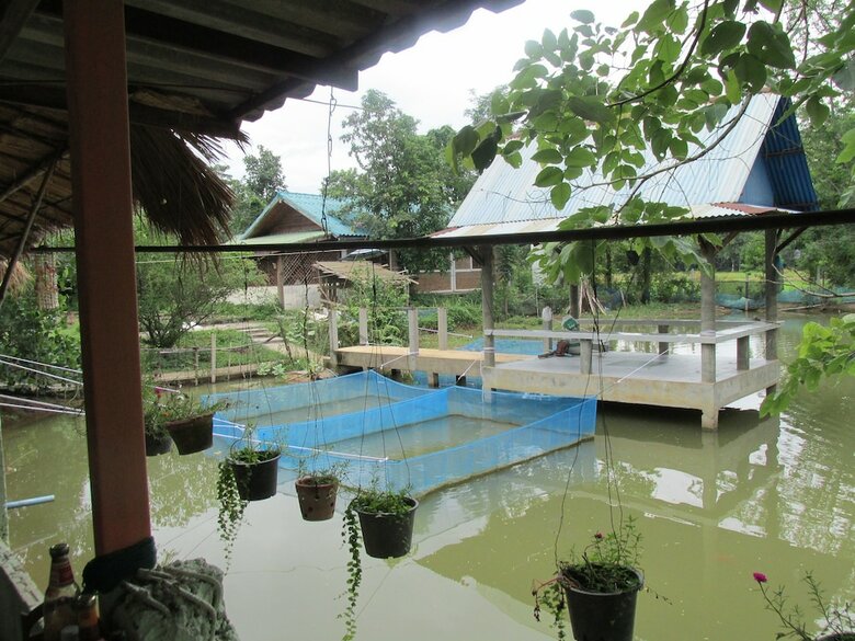 Hotel Moutain View Guest House