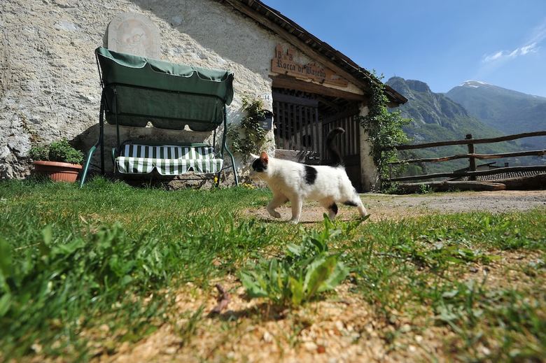 B&B Rocca Di Baiedo
