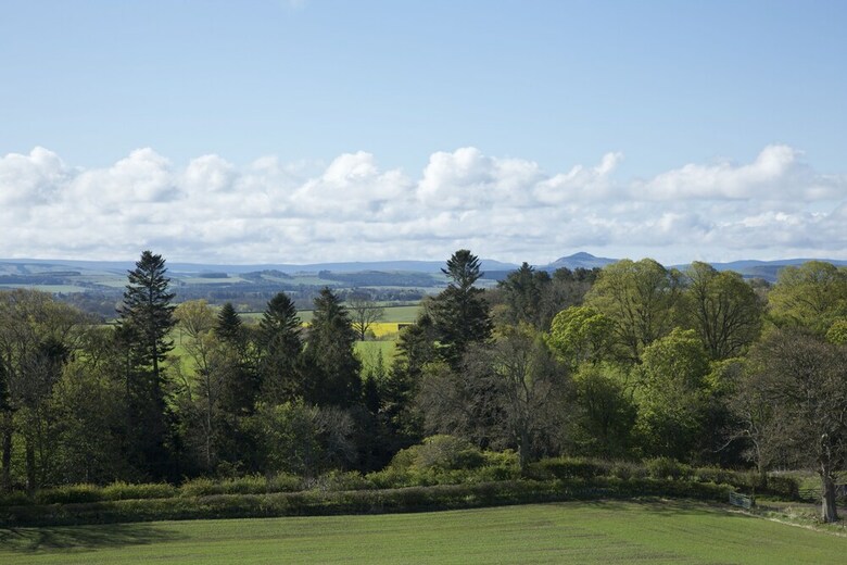 Bowden House B&B
