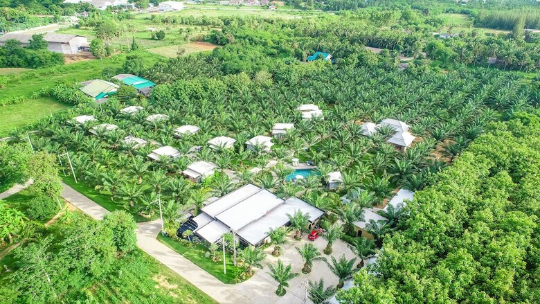 Hotel Palm Pran Resort
