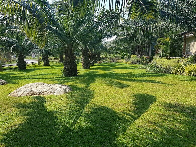 Hotel Palm Pran Resort