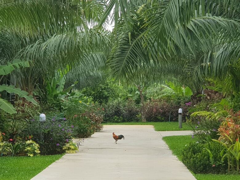 Hotel Palm Pran Resort