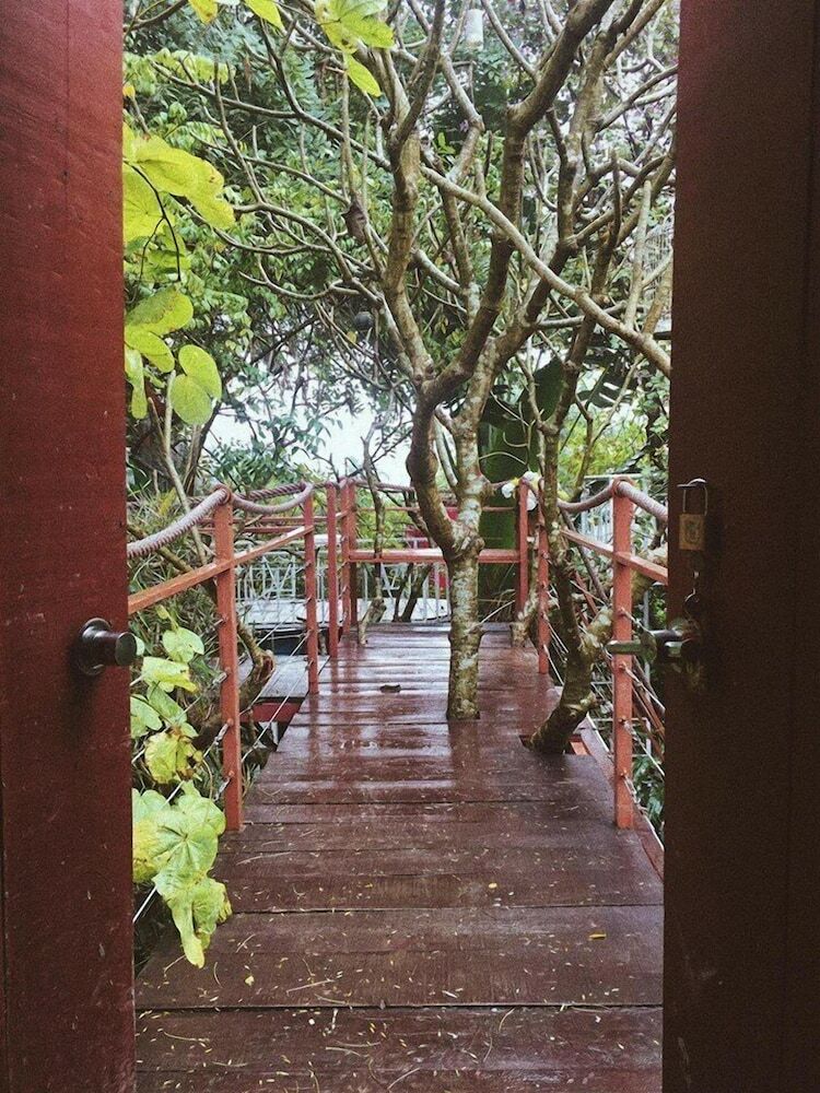 Hotel Dao Anh Khanh Treehouse