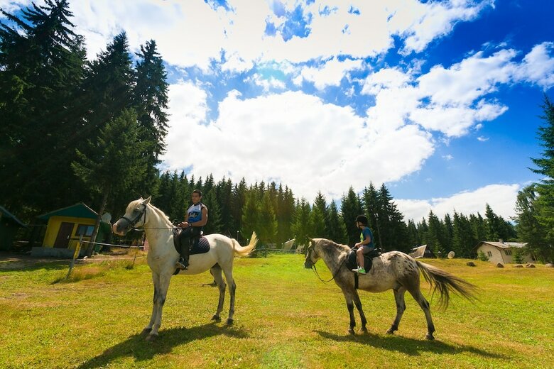 Romantica Forest Holiday Village