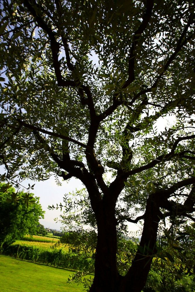 Agroturismo Country House Barone D?asolo