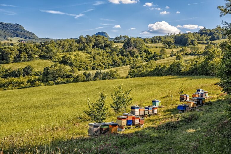 Agroturismo Agriturismo Eutopia