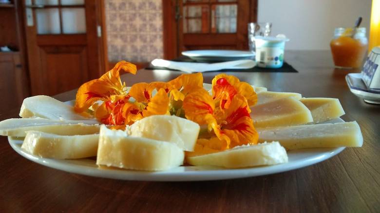 Bed & Breakfast Quinta Minuvida Orchard Lodge