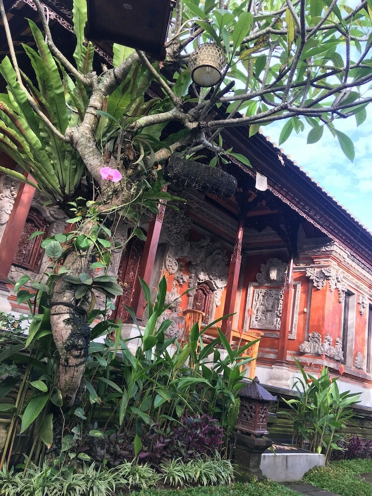 Bed & Breakfast Local Family House