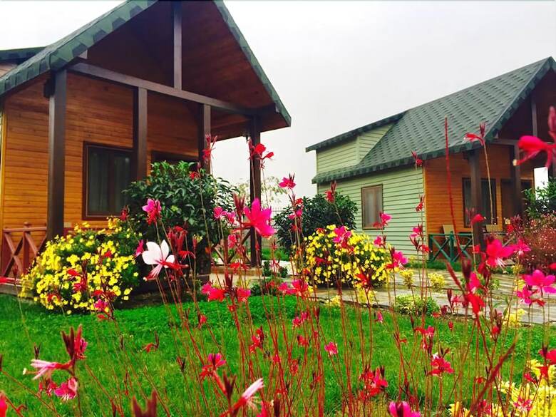 Hotel Kalipso Park Butik Otel