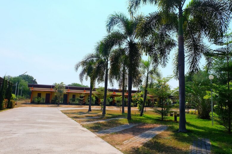 Hotel The Palm Resort