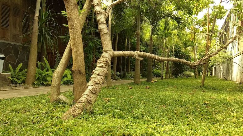 Bedhot Homestay