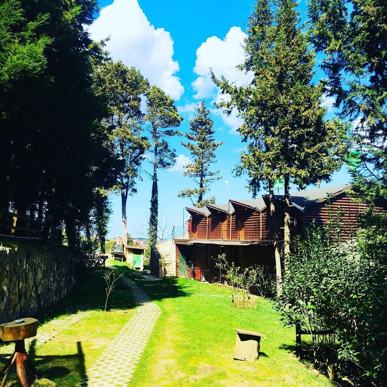 Hotel Agva Orman Evleri (Forest Lodge)