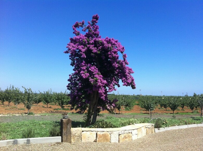 Agroturismo Agriturismo Sant'andrea