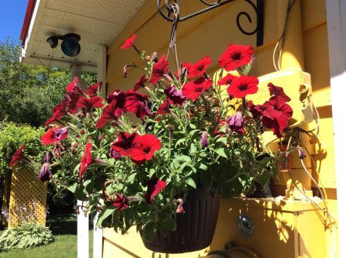 Bed & Breakfast Chez Lulu Et Lutin