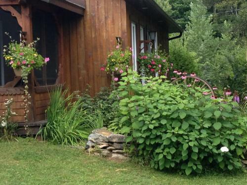 Chalets Des Pins
