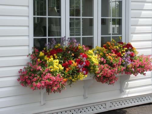 C�t�'s Bed & Breakfast