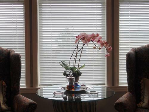 Bed & Breakfast The Beacon Inn At Sidney