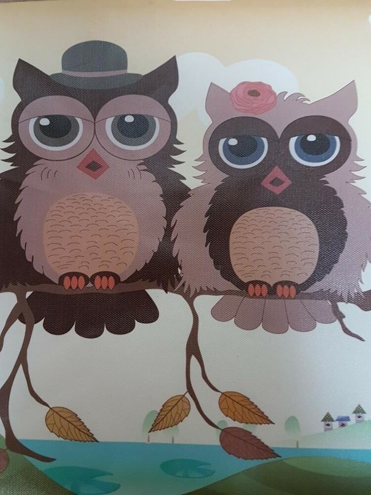 Hostal Hostel Wood Owl
