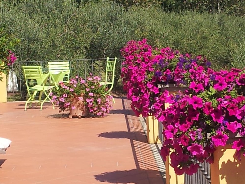 Agroturismo Il Campano