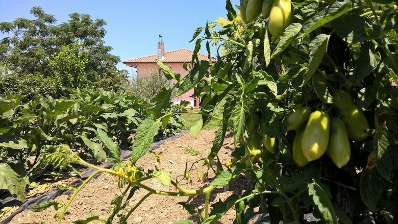 Bed And Breakfast Macchia D'olmo