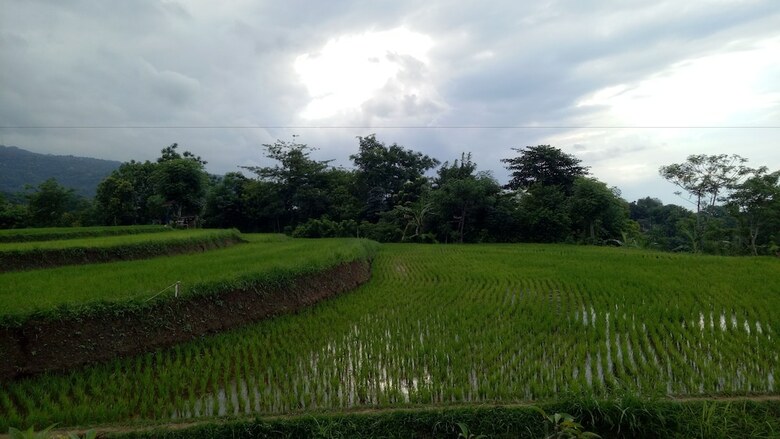 Bed & Breakfast Swar Bali Lodge