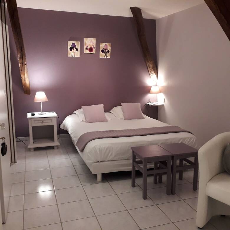 Hotel Domaine de L'asenon