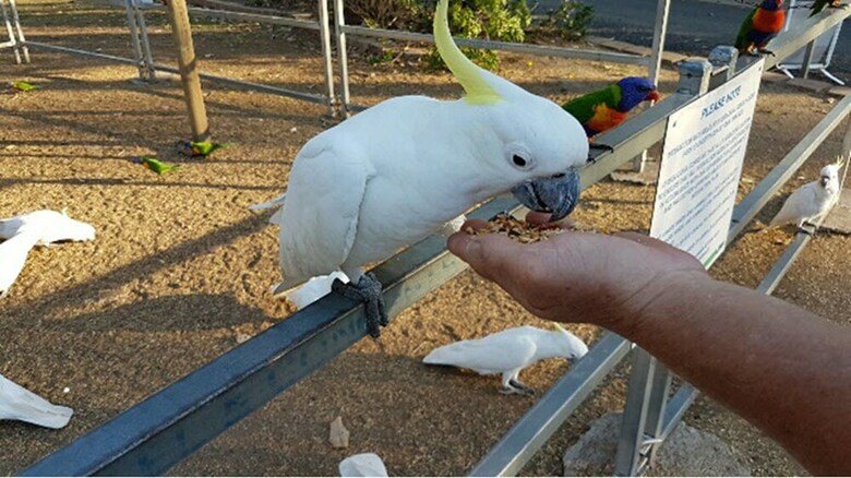 Big4 Cania Gorge Holiday Park