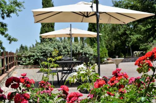 Apartamento Villa Le Polle Di Meletro