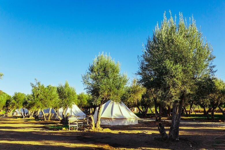 Hotel Guadalupe Valle Glamping