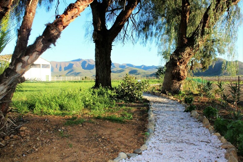 Hotel Green Olive Guesthouse